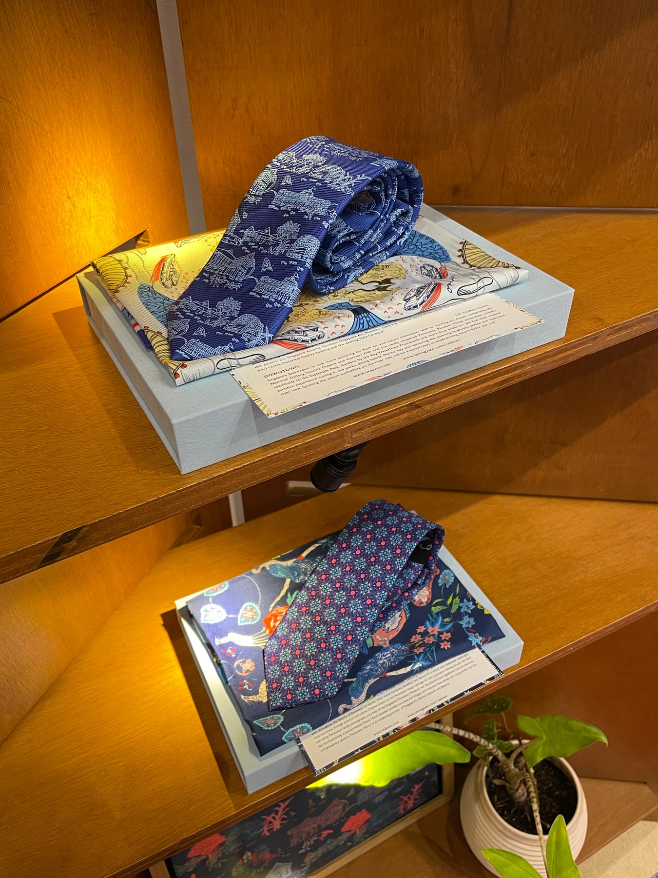 Silk Tie & Silk Pocket Square Gift Set